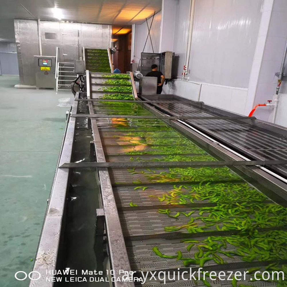 Fluidized Tunnel Freezer For Beans